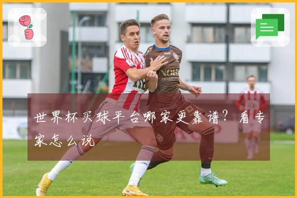世界杯买球平台哪家更靠谱？看专家怎么说