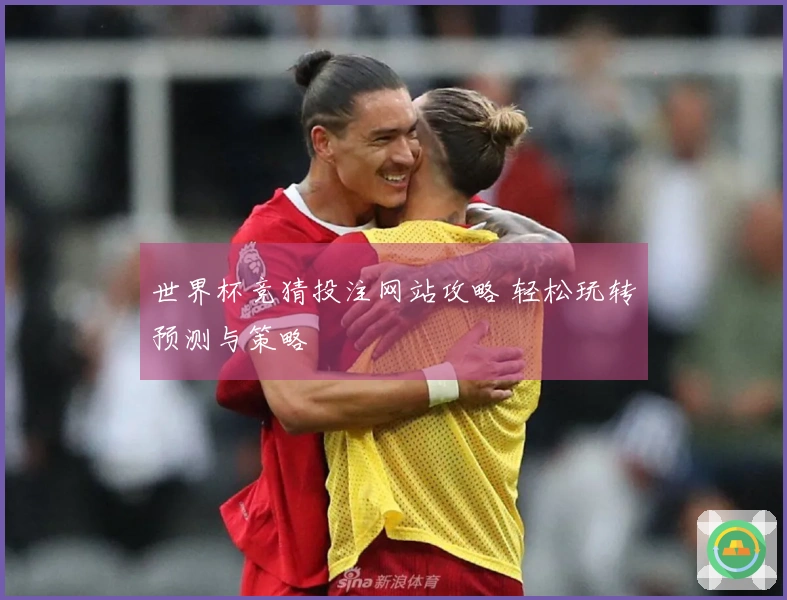 世界杯竞猜投注网站攻略 轻松玩转预测与策略