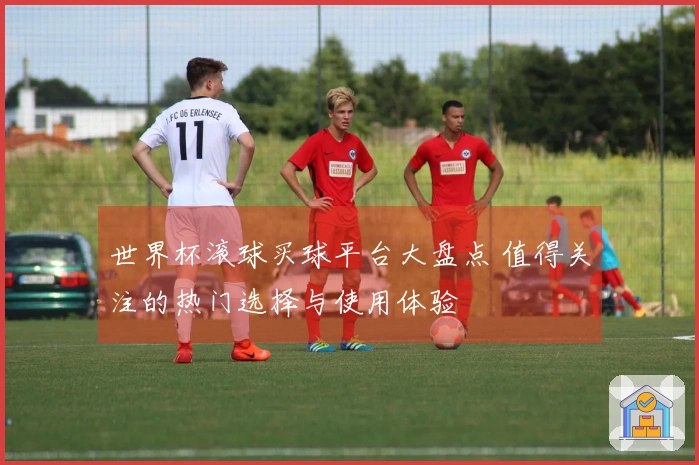 世界杯滚球买球平台大盘点 值得关注的热门选择与使用体验