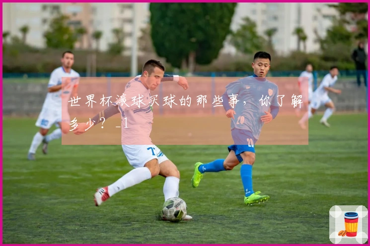 世界杯滚球买球的那些事，你了解多少？_1