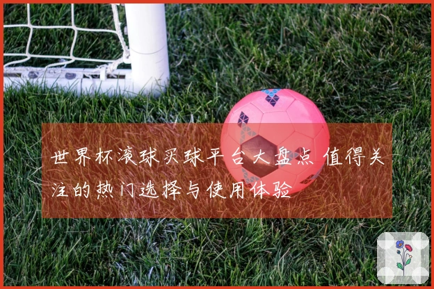 世界杯滚球买球平台大盘点 值得关注的热门选择与使用体验