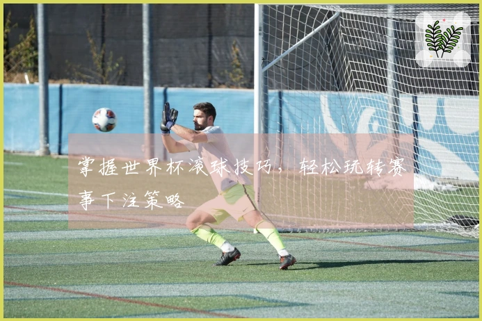 掌握世界杯滚球技巧，轻松玩转赛事下注策略